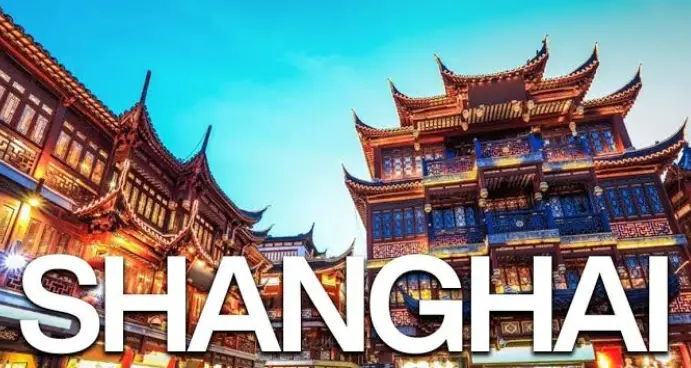 茶叶选购-怎么看品质-怎么辨别好坏：🔥一篇文章让你从新手秒变行家